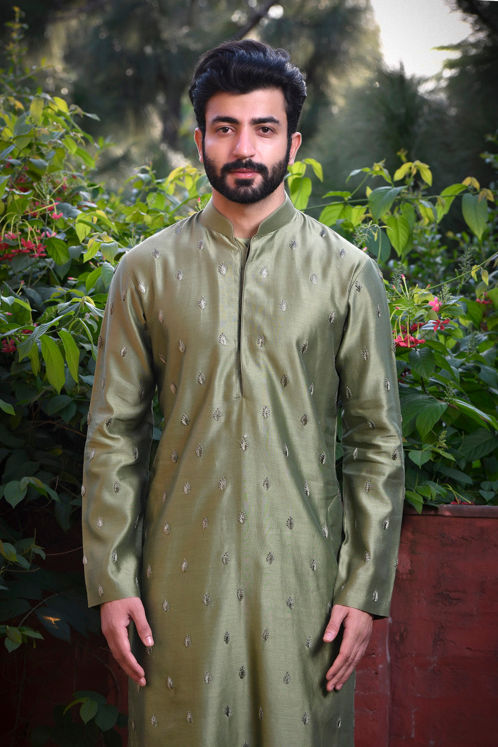 Nisar